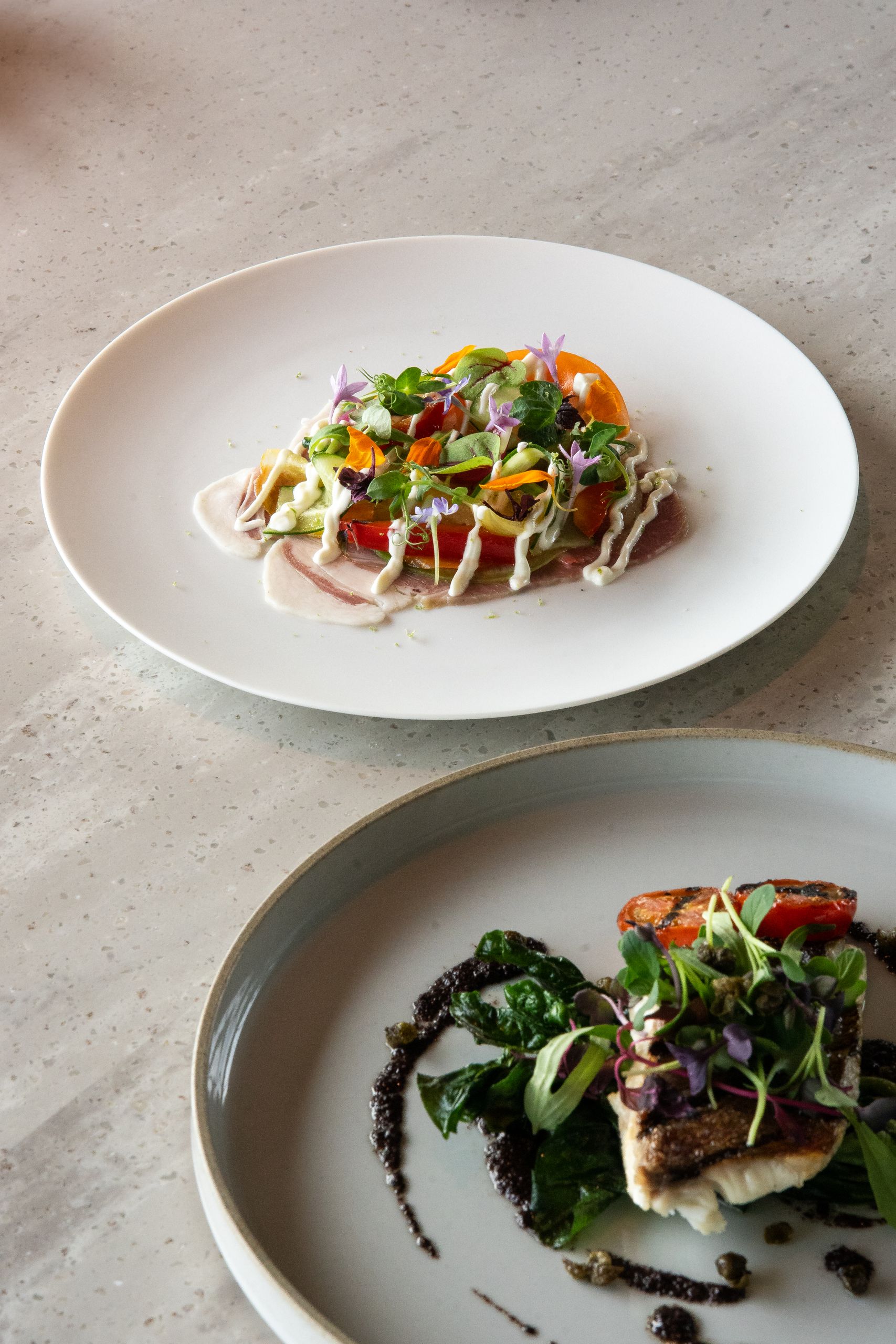 Artfully plated dishes highlighting fine dining in a Tokyo cafe, showcasing fresh ingredients and artistic presentation.